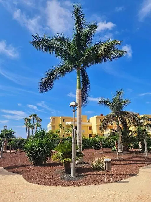 Homely Apt In Modern Building With Pool San Miguel de Abona 0*,