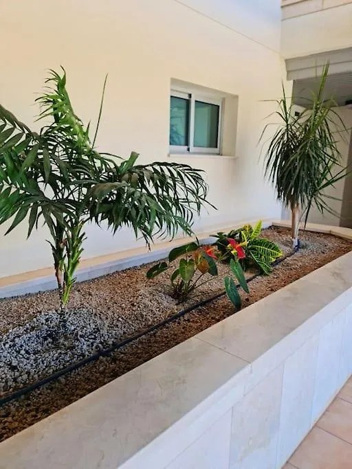 Homely Apt In Modern Building With Pool سان ميغيل ذي أبونا 0*,  إسبانيا